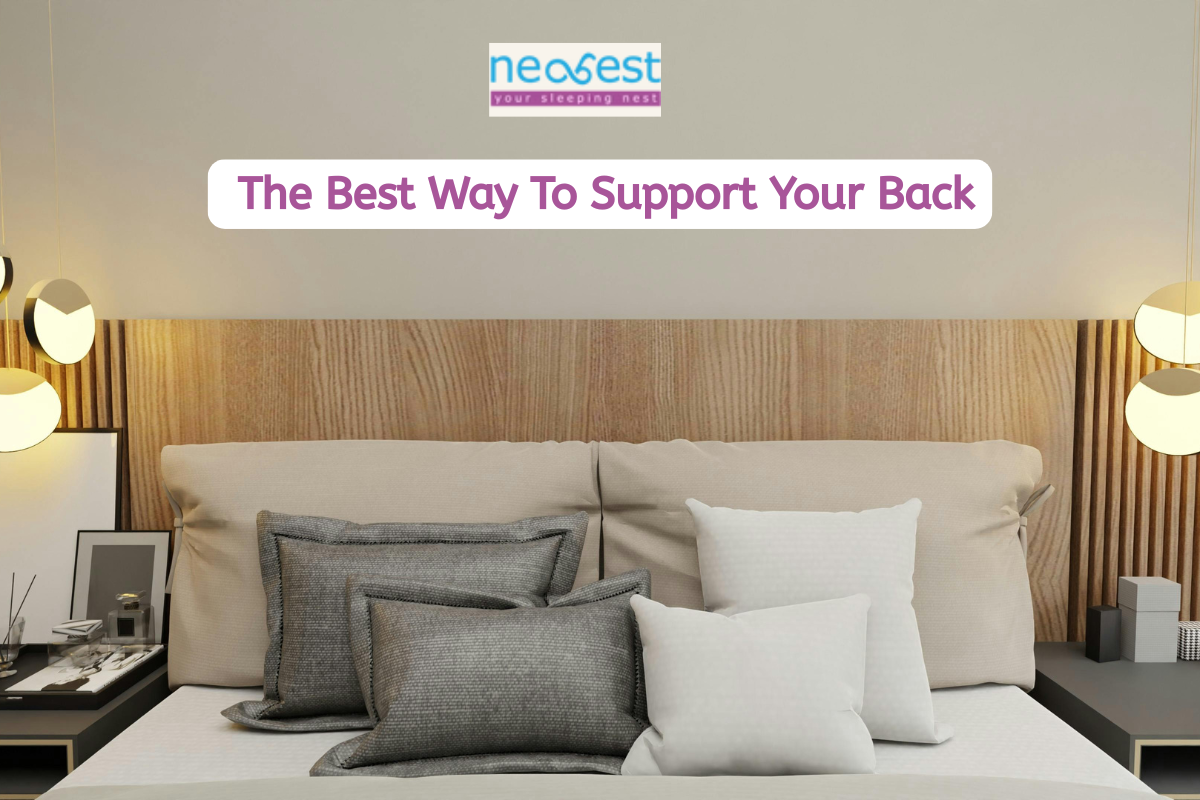 Back Support Pillow